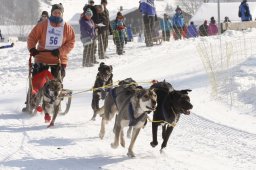 Lenk 2012 SM
